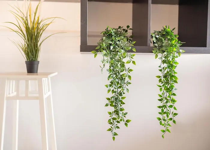 A51 Helena-ceasar Blue Boghaz